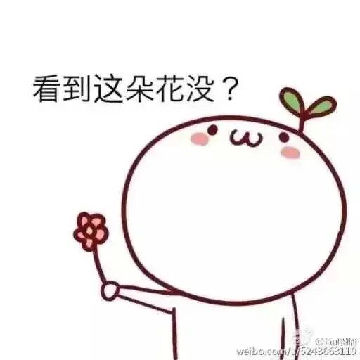就这样爱上了巴黎