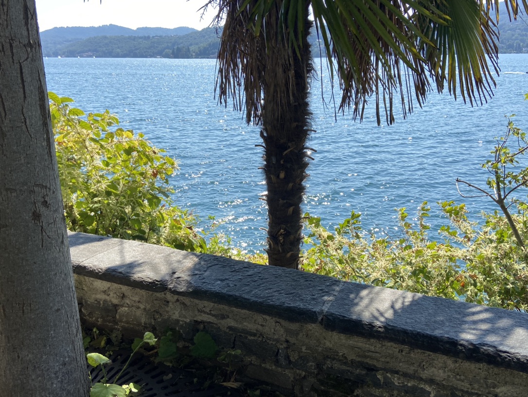 回🇮🇹了 我爱南欧的夏天！！