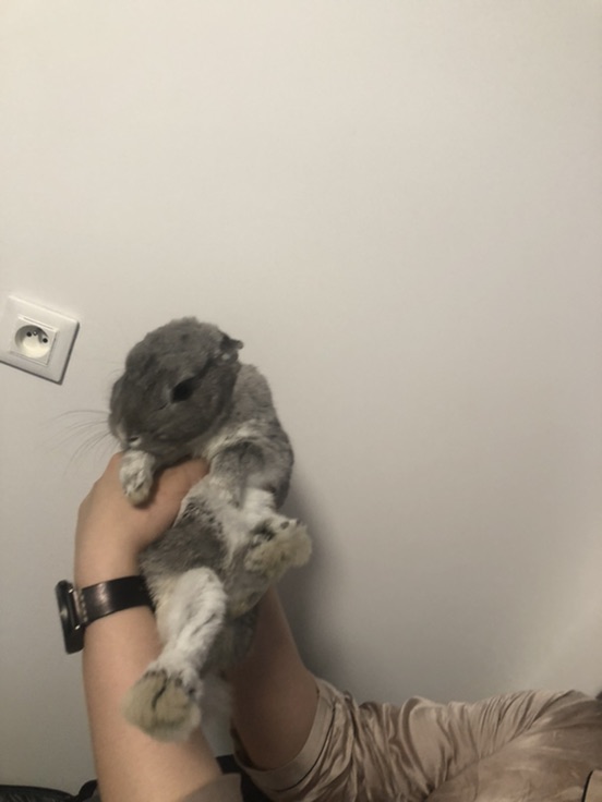 颜值比不过，那就上才艺吧