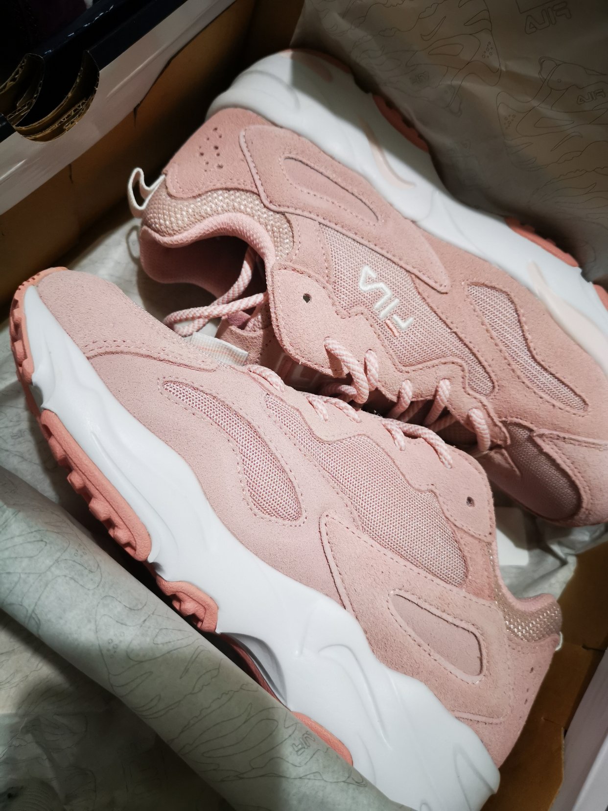 Fila 