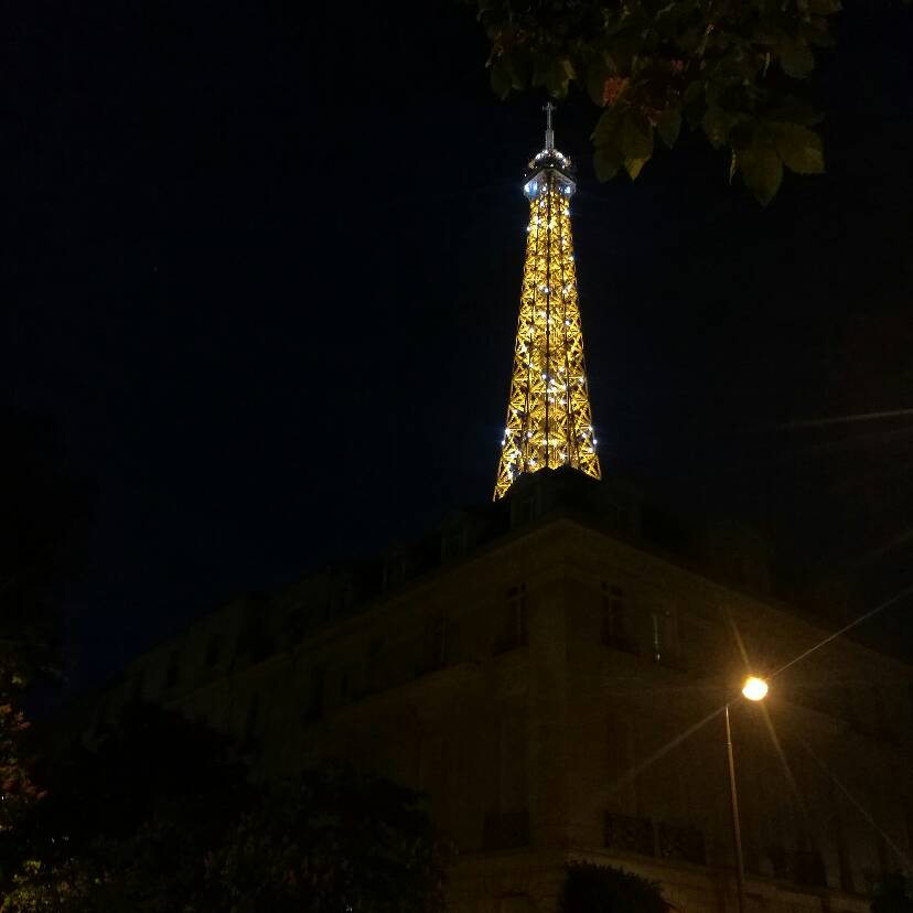 8/mai