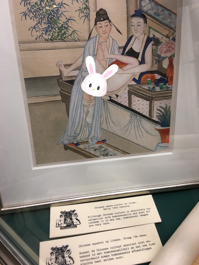 荷兰 🇳🇱sex museum 