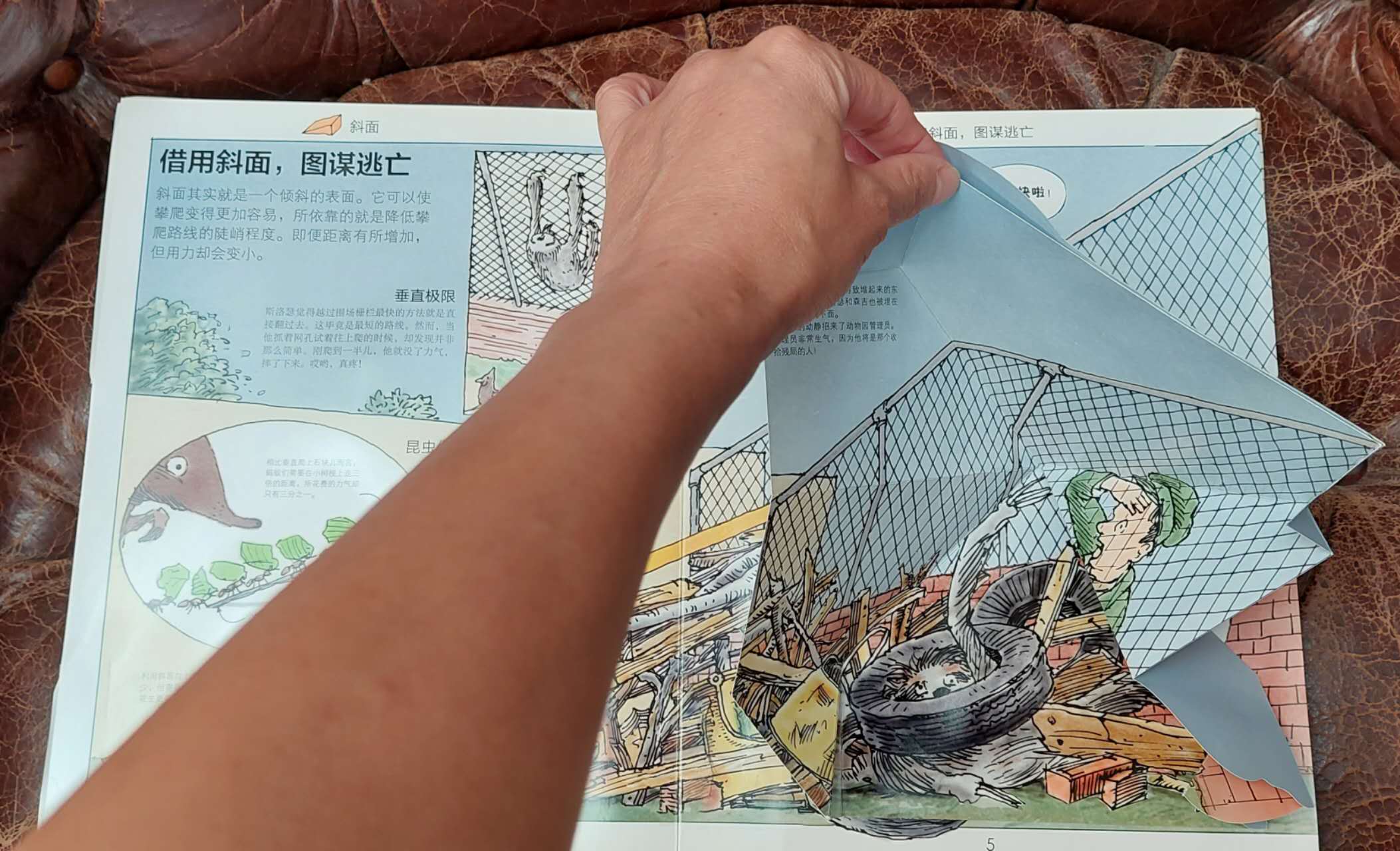 巴黎🇫🇷知识类立体书，6欧
