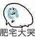 肥仔太可爱了