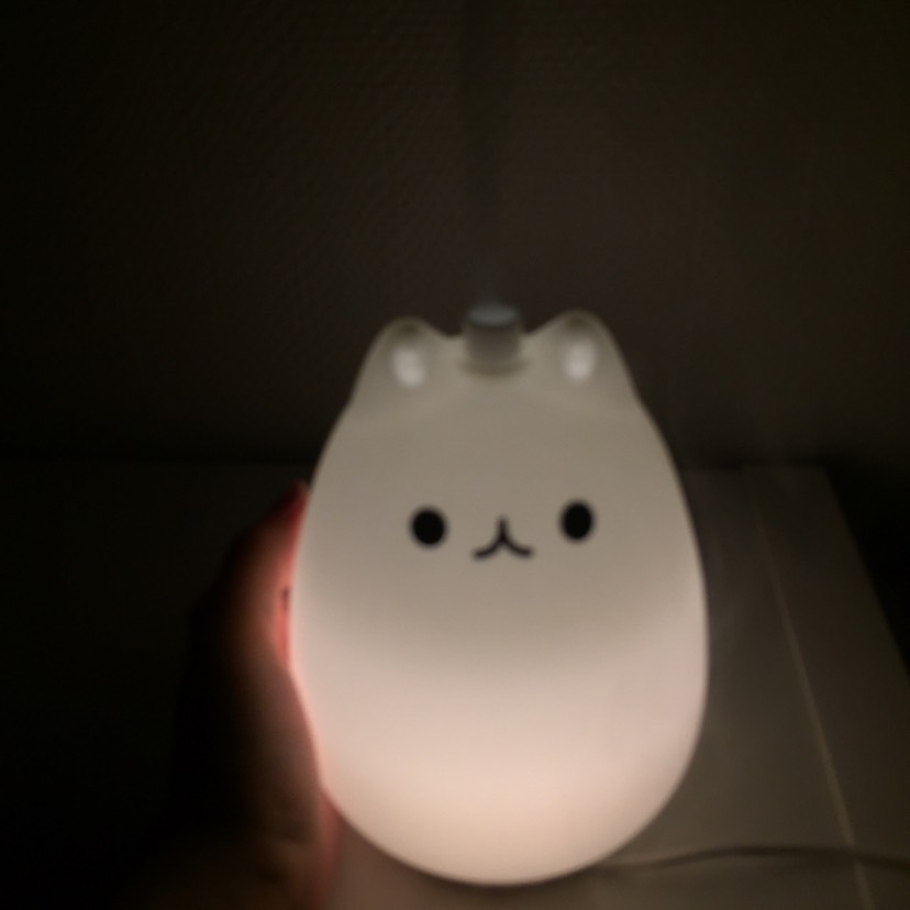 天干物燥，你需要一只猫咪呼吸加湿器(☝︎ ՞ਊ ՞)☝︎