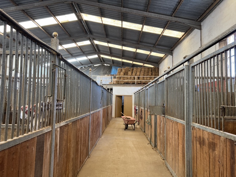 这个夏天 骑马安排起来！