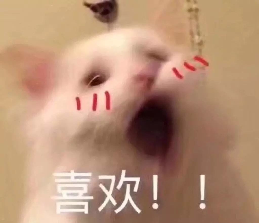 人生第一双椰子🍃yeezy
