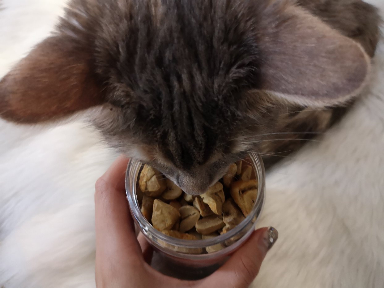 送 猫咪零食：开盖就兴奋的鸡心