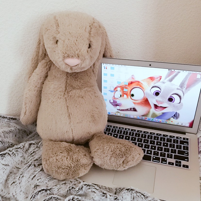 留学狗必备❤️jellycat 安抚兔🐰邦尼兔