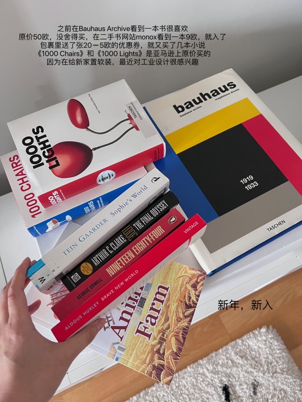 🇩🇪🧩｜在德国过年🧨只居家，不串门