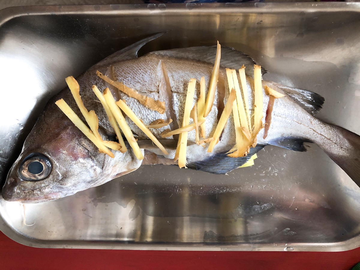 年年有鱼🐟