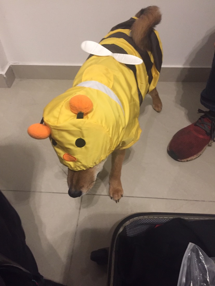 穿上衣服，我就是一分钱最靓的仔！