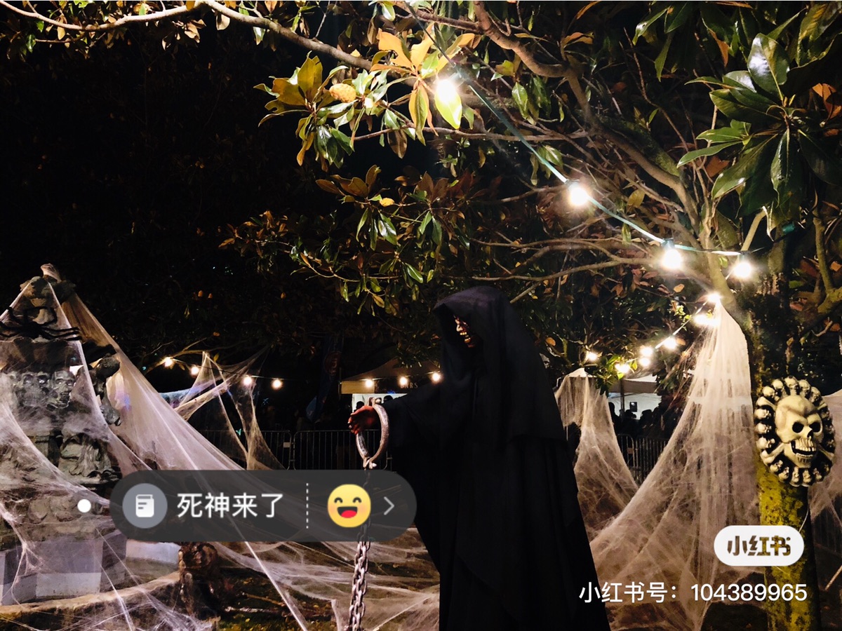 去年今日 万圣节狂欢 谁还不是捣蛋鬼 👻 #宅家打卡2