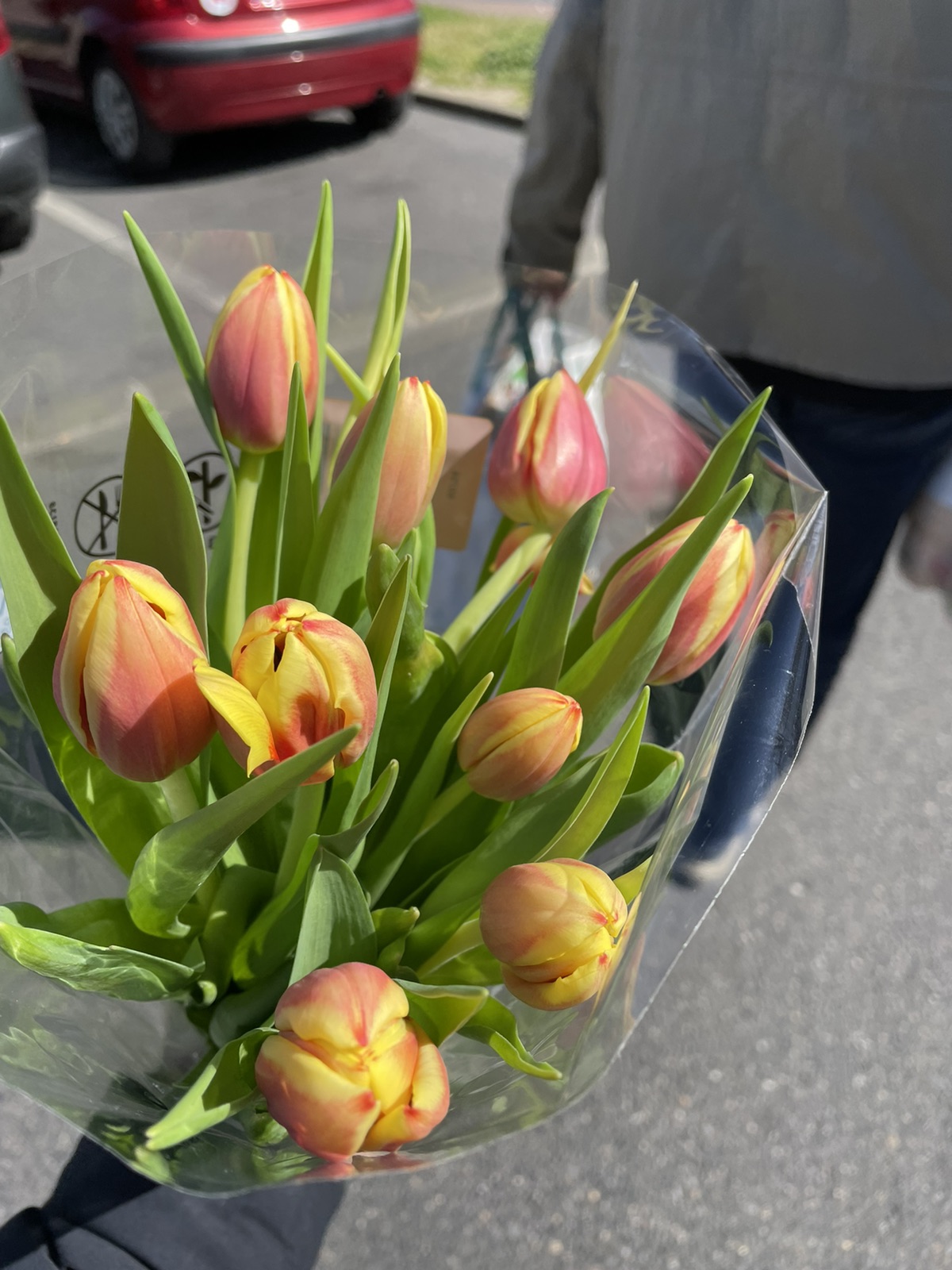 Lidl1.99欧的花我感觉它有点不快乐