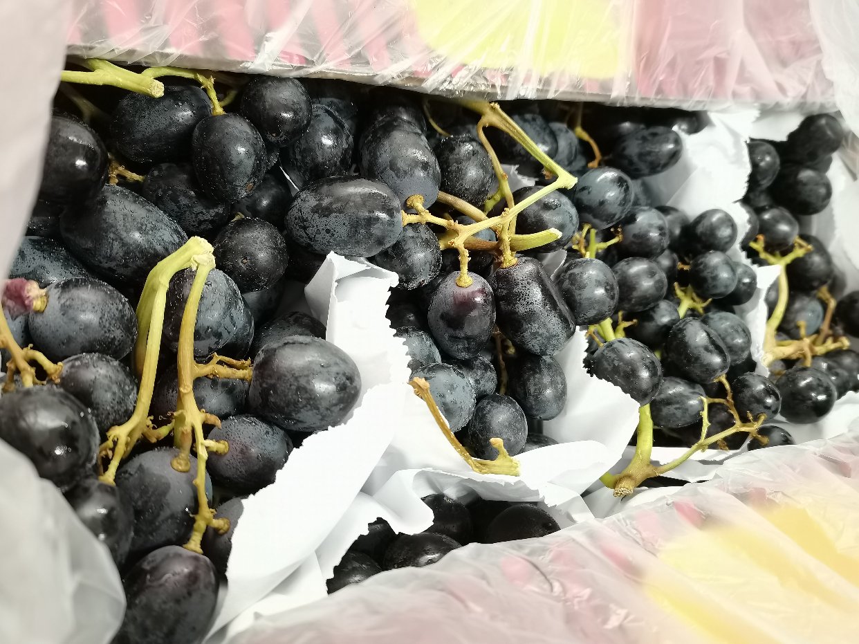 4.99买一箱的葡萄🍇
