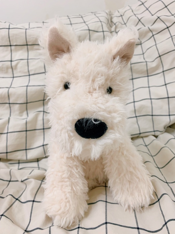 Jellycat 太可爱了