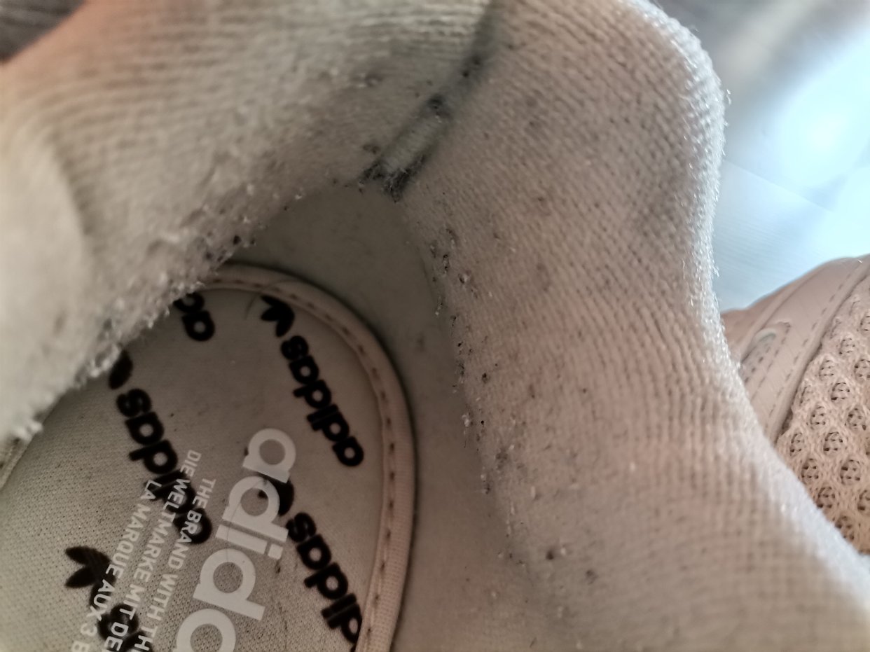 adidas香槟色老爹鞋差评