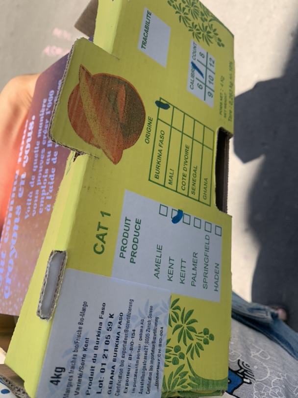 免费拿kent芒果呀😆😆