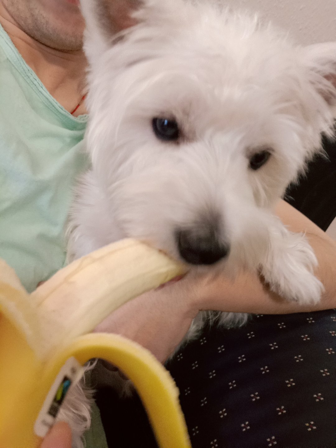 吃banana