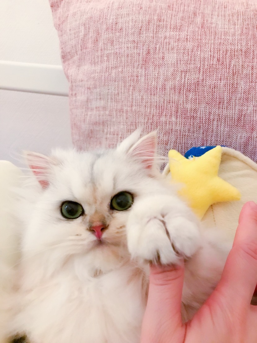 击个迷你小掌掌