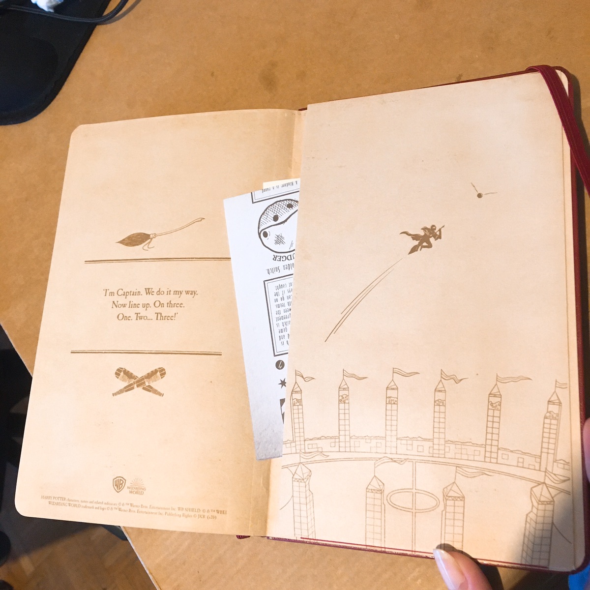 Moleskine 哈利波特笔记本 — 魁地奇🏏