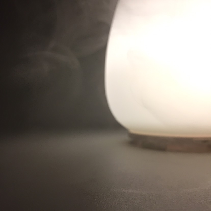 天干物燥，你需要一只猫咪呼吸加湿器(☝︎ ՞ਊ ՞)☝︎