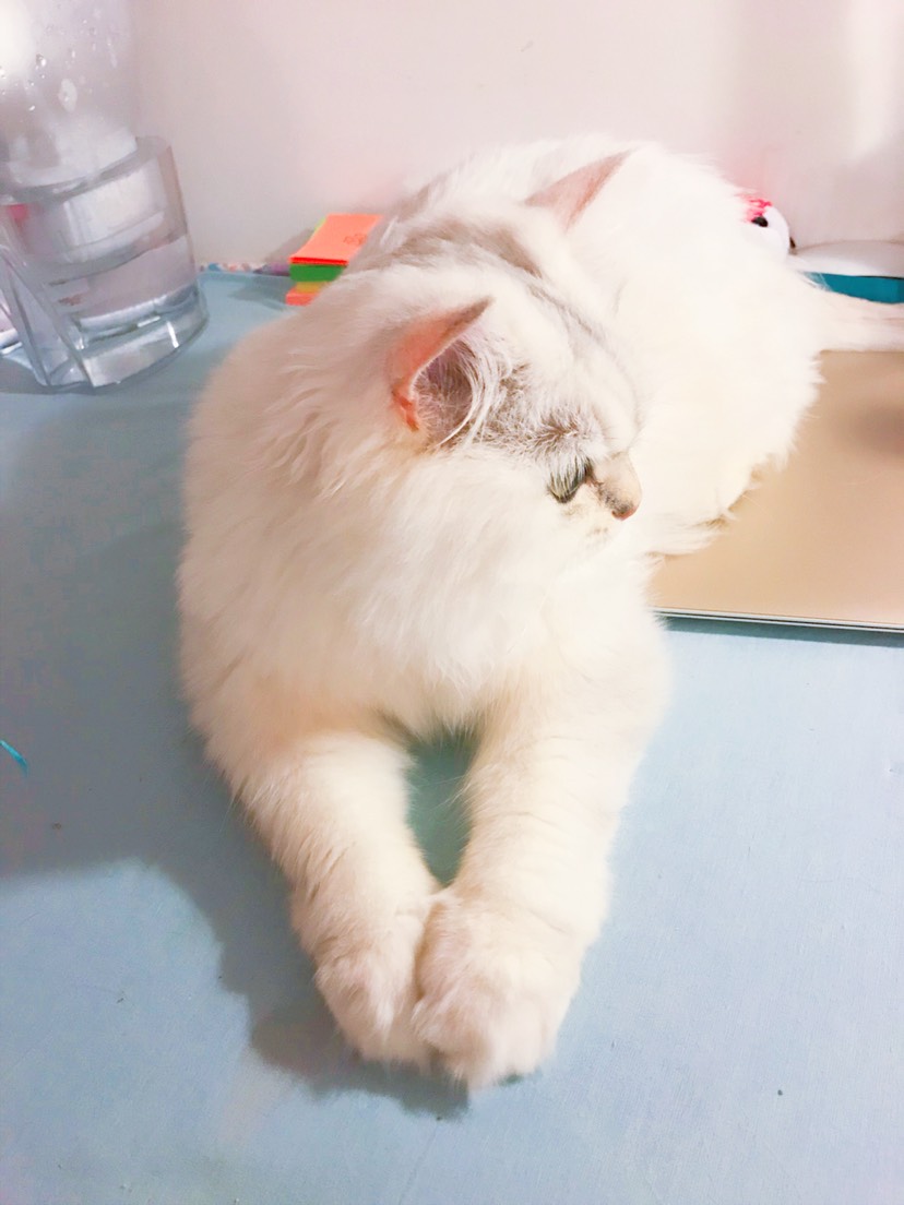 我妈让我自己来挣小鱼干