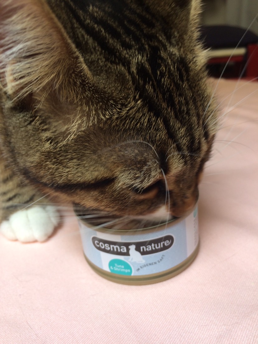 满满是肉的无添加猫罐头～