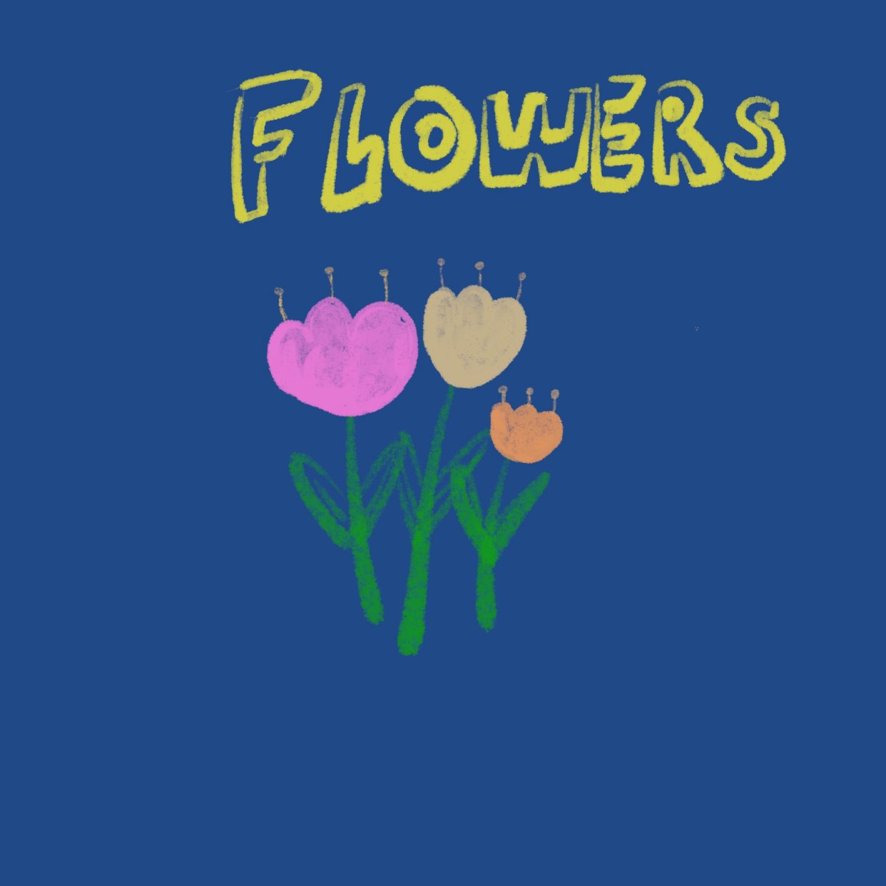 邀请大家赏花（画）啦～