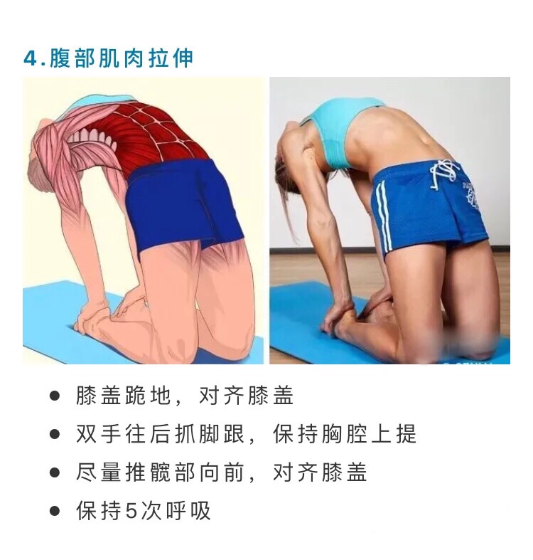 健身打卡：Day 7