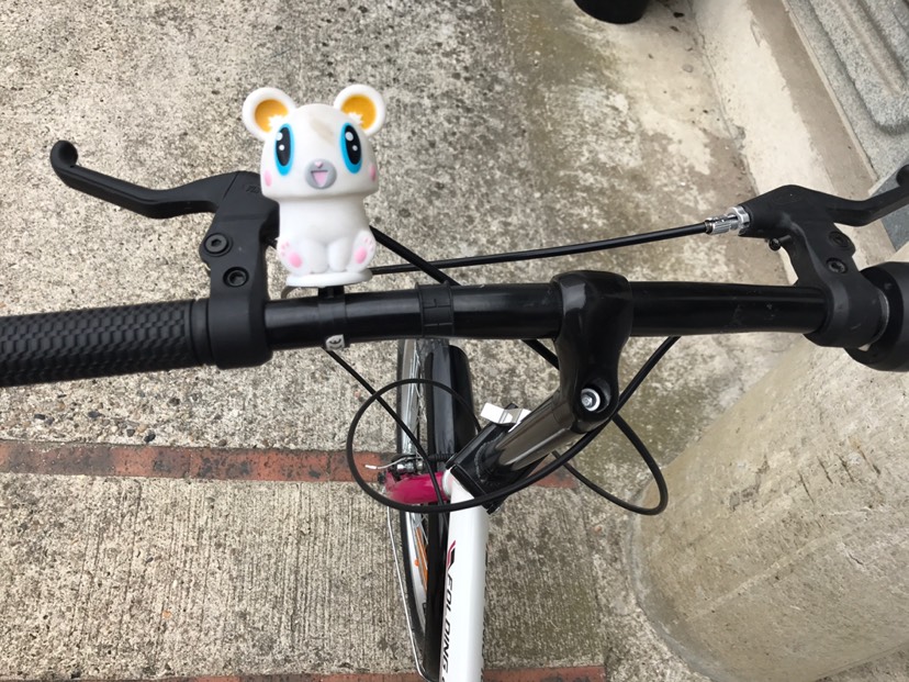 借贵宝地出一辆女式自行车🚲~ 谢谢！