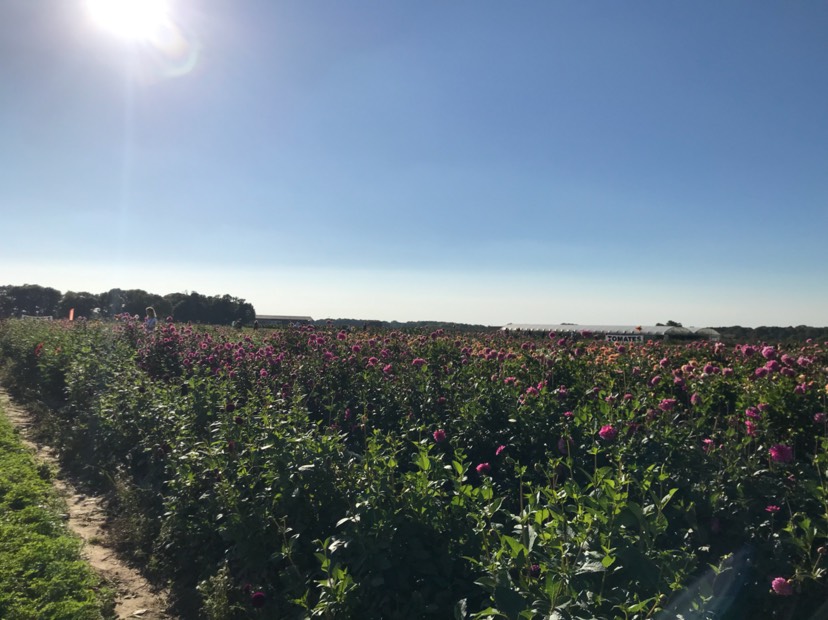 👨‍🌾农夫的生活