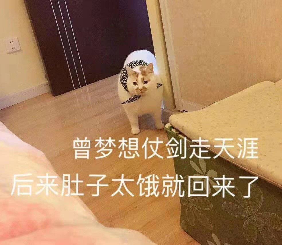 每天除了吃吃吃就是吃吃吃