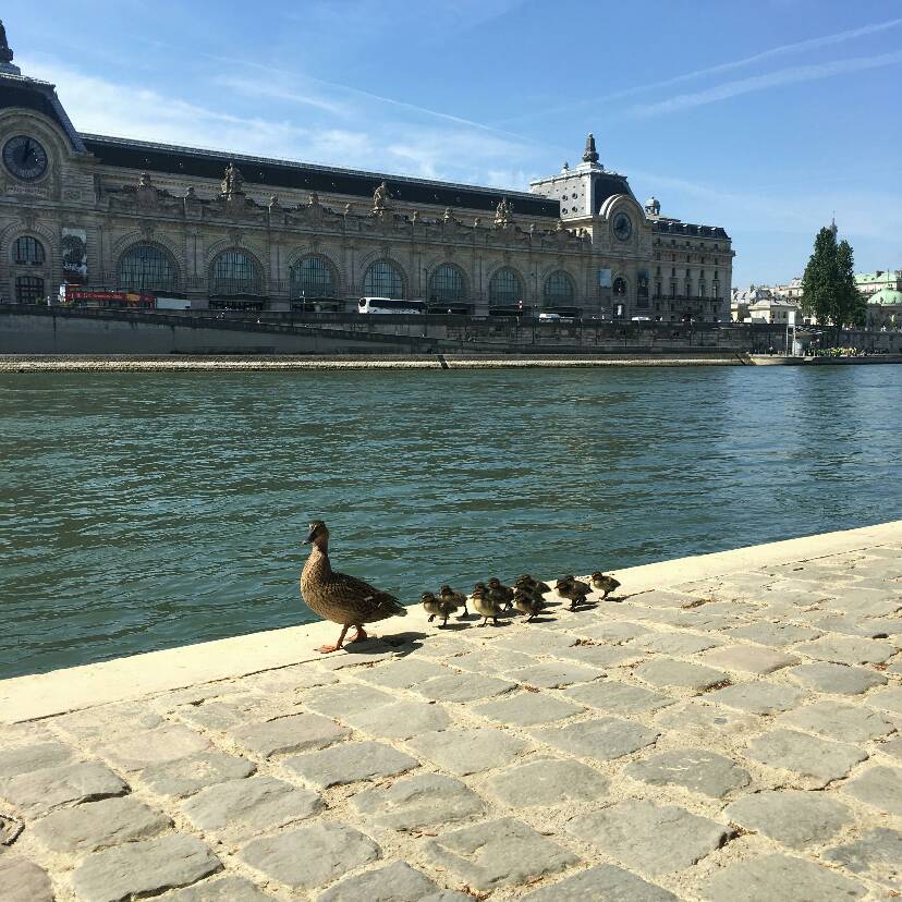 8/mai