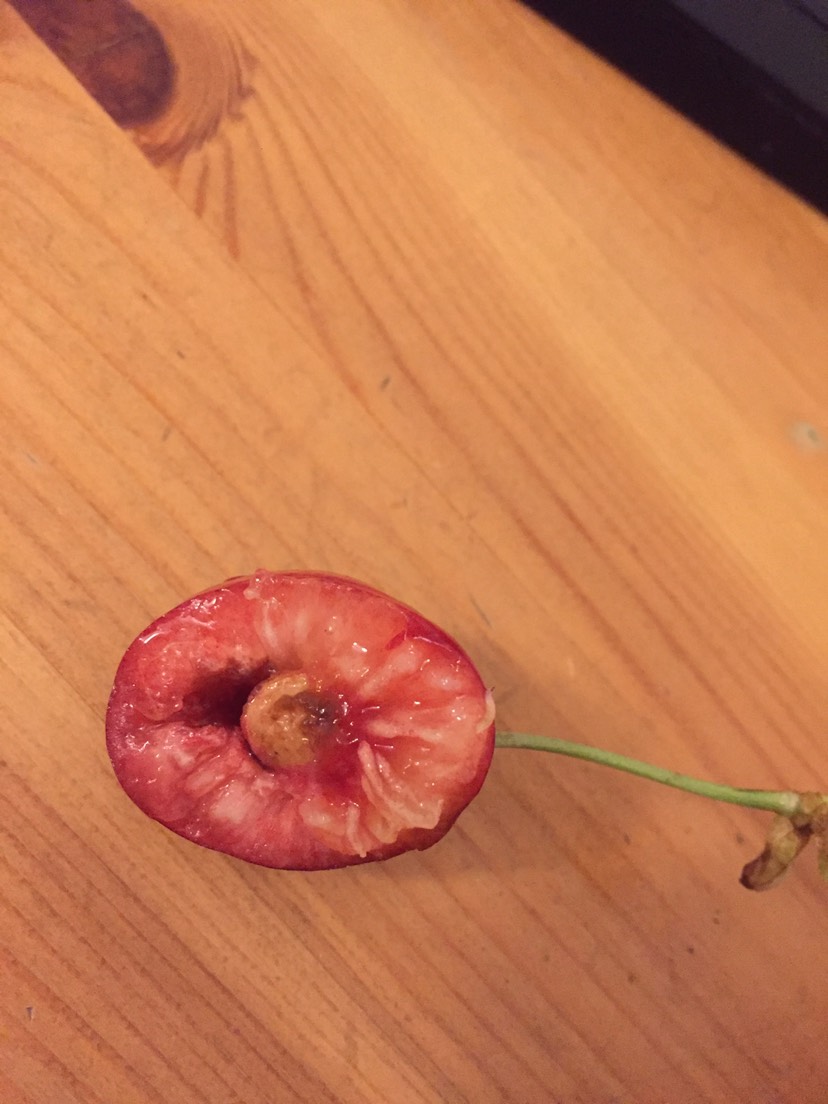 樱桃🍒里面的虫子
