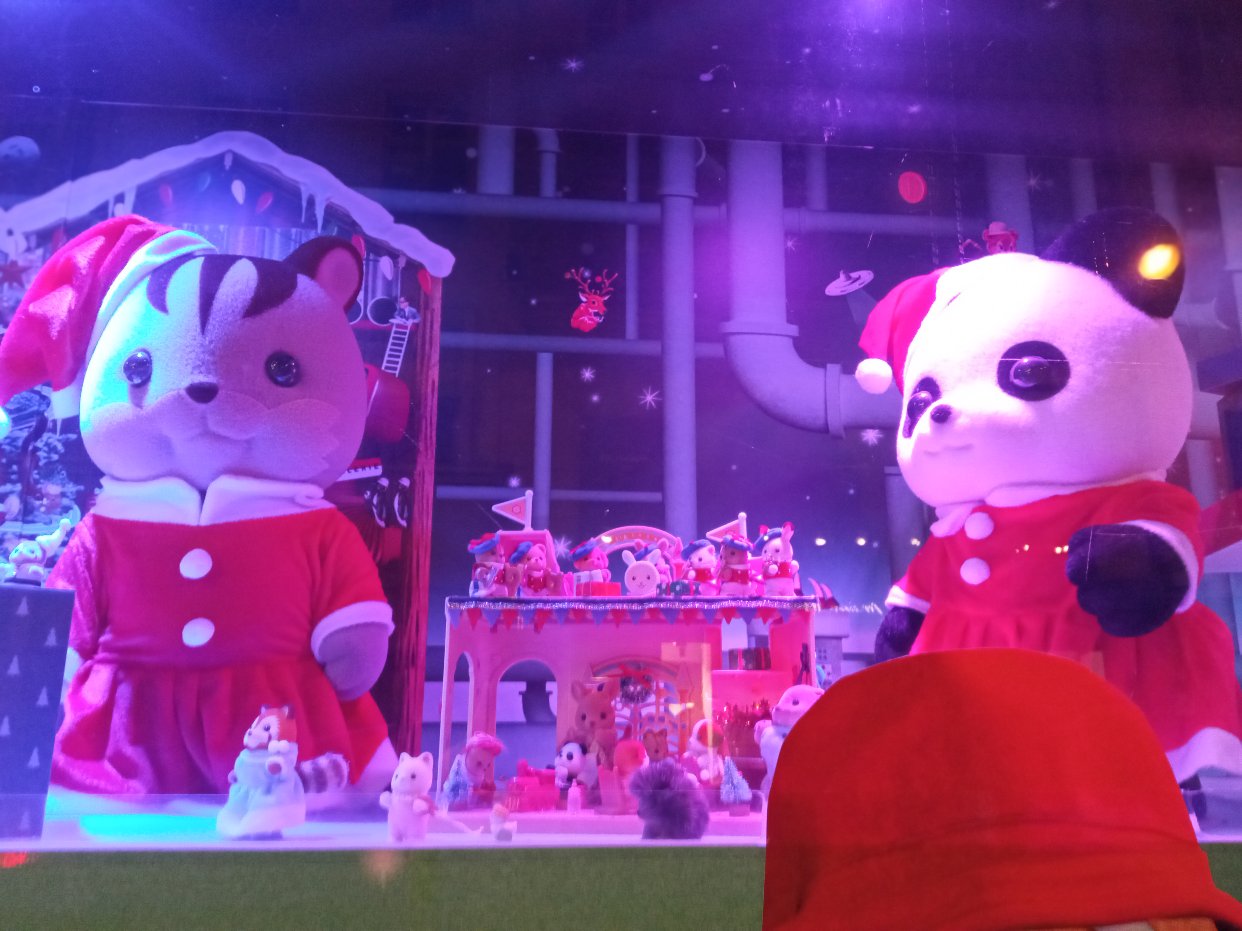 尼尼，伊尔和乱入的伊布，皮卡丘...