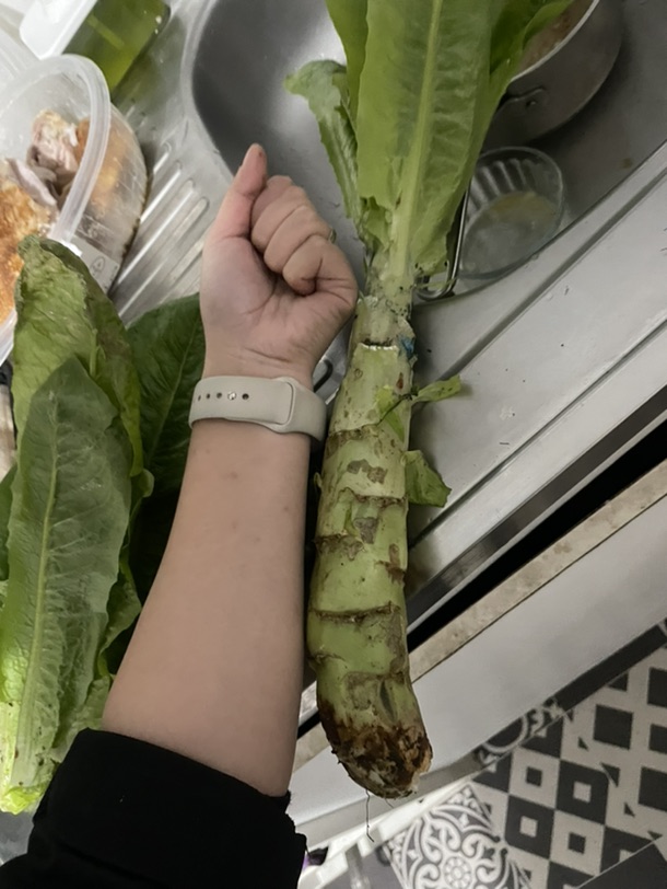 嫩 炒鸡嫩 巨嫩