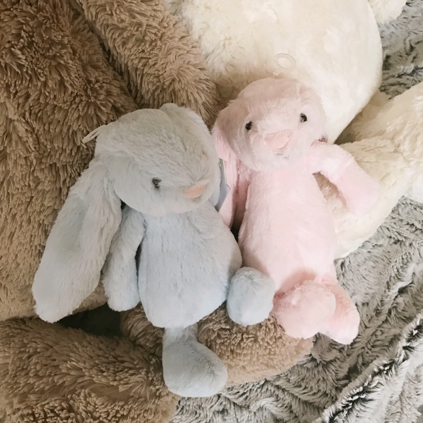 留学狗必备❤️jellycat 安抚兔🐰邦尼兔