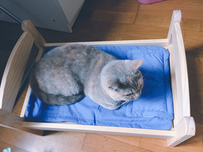 猫奴🤷‍♀️娃娃床买起来！