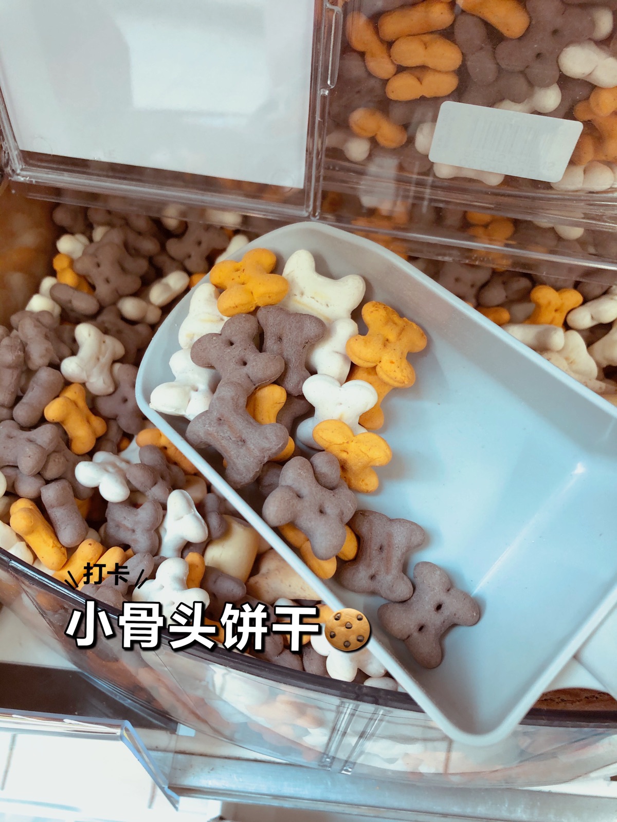 家乐福自选狗狗零食饼干