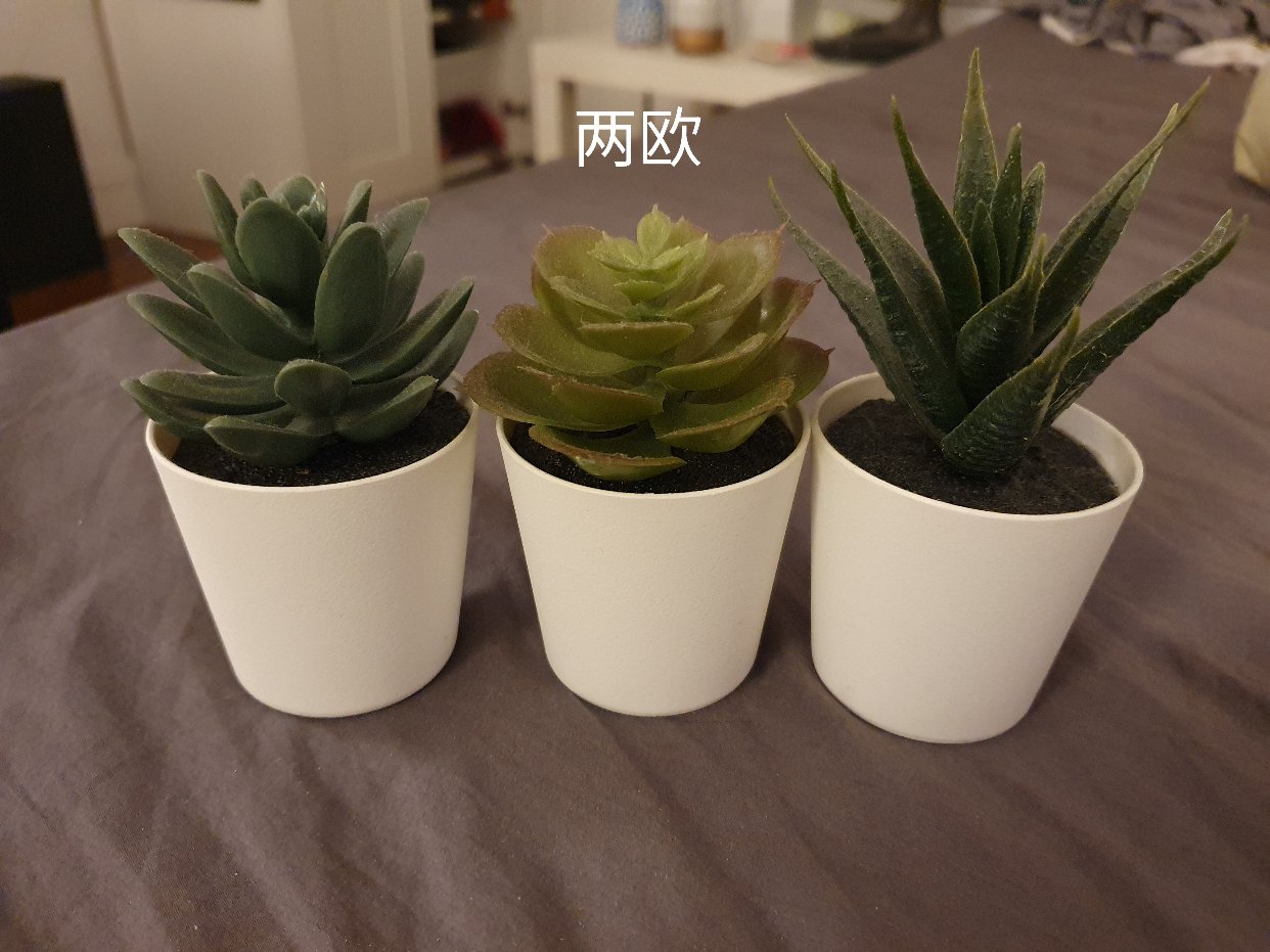 闲置物品
