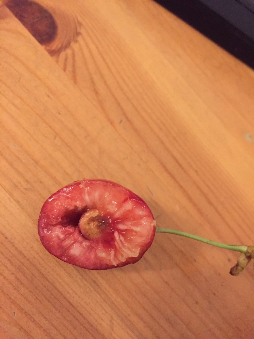 樱桃🍒里面的虫子