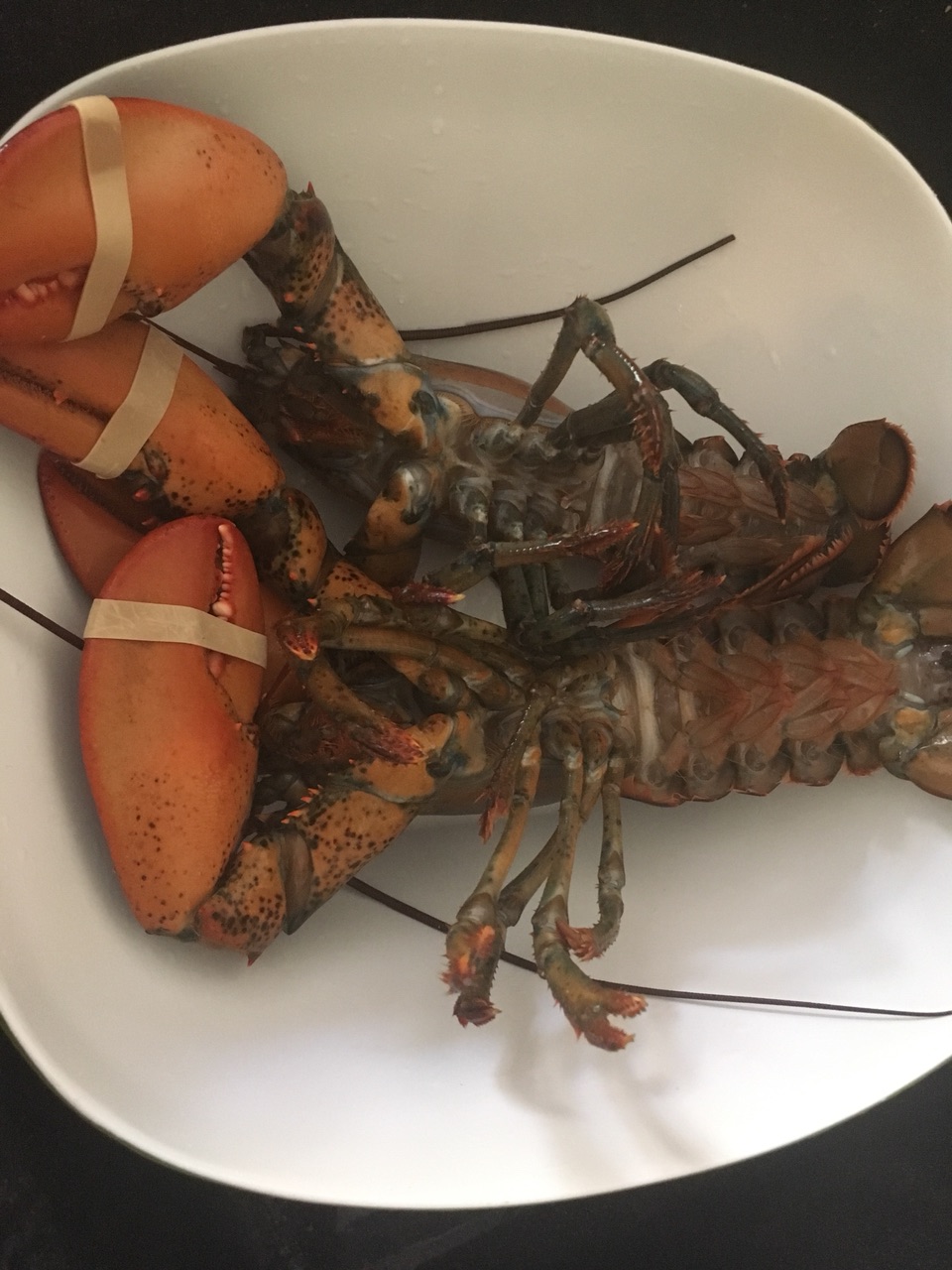 单身贵族就是吃吃吃