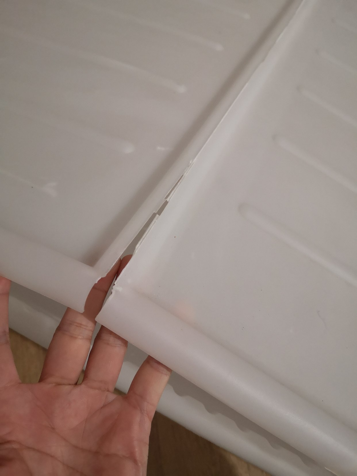 出大碗 整理箱