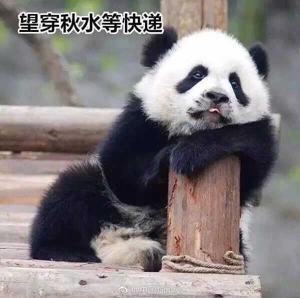 望穿秋水等快递
