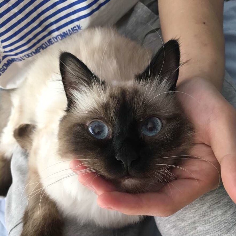 Bruce 首秀 