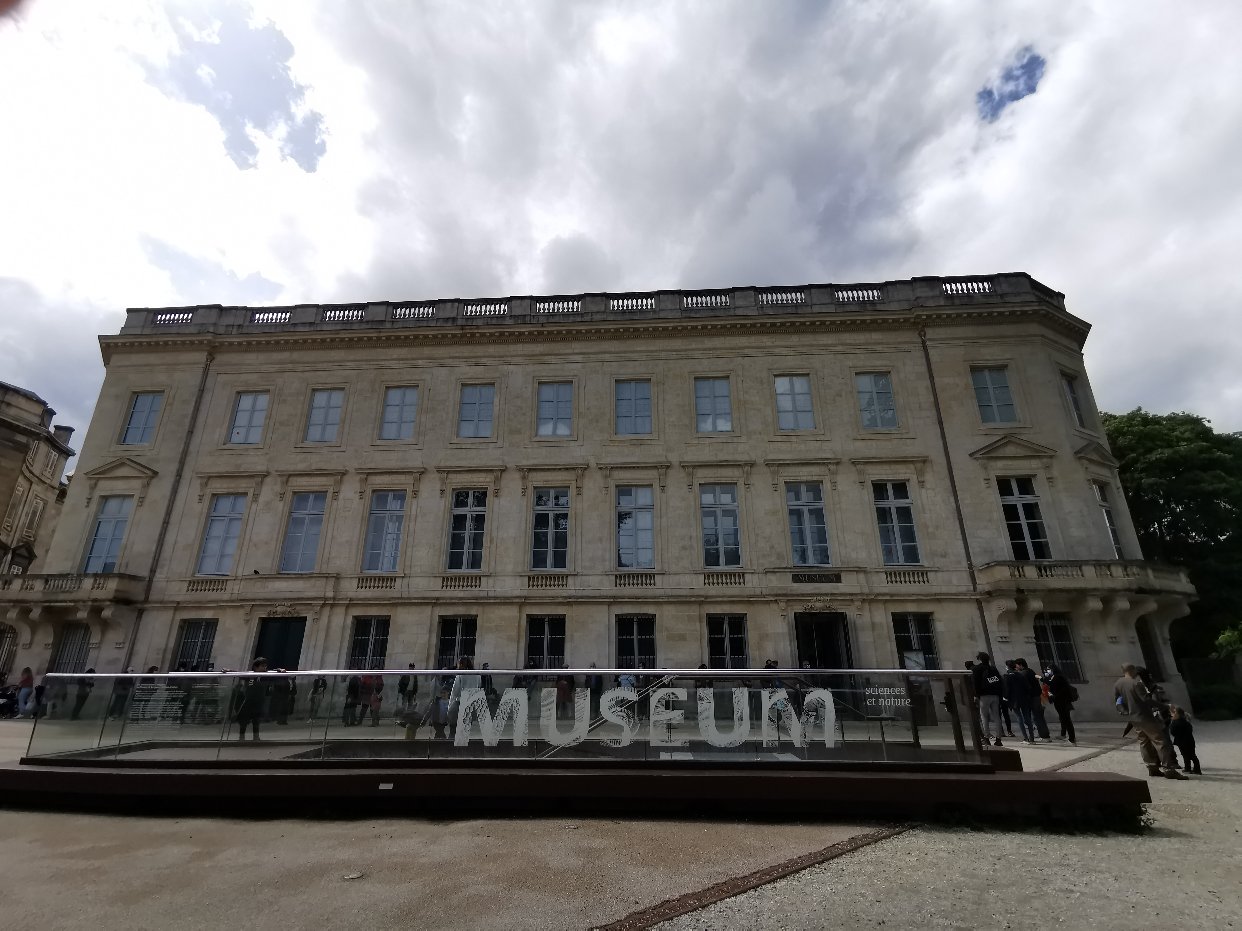 https://treasureimage.ecentime.com/file4_vqitRiLroBtE.jpg?p=web_treasure_detail