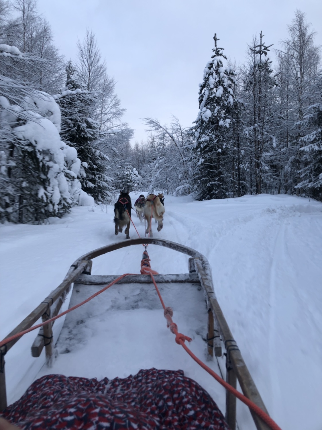芬兰-罗瓦涅米🇫🇮