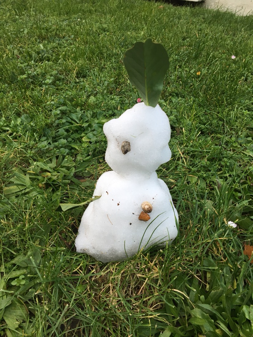 #2017年冬天的第一次雪#