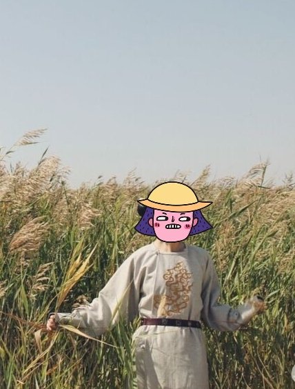 平平无奇如我平平无奇的人生啊